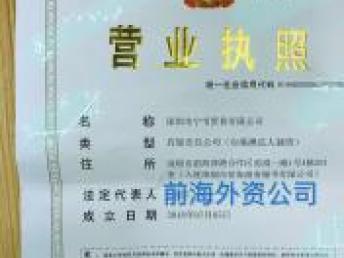 企業資產與服務的多元轉讓 深圳前海資本管理、外資公司、重慶翻譯與基礎軟件服務